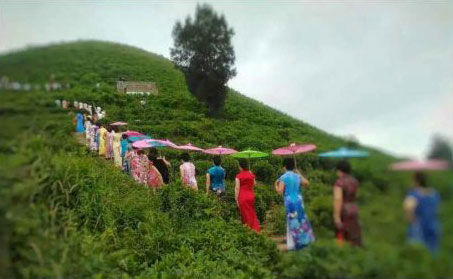玉環(huán)火山茶基地舉辦首屆旗袍走秀活動(dòng)＂當(dāng)旗袍遇見火山茶的美麗邂逅＂。